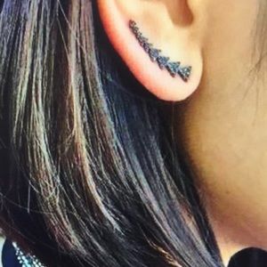 Stella and dot ear climbers